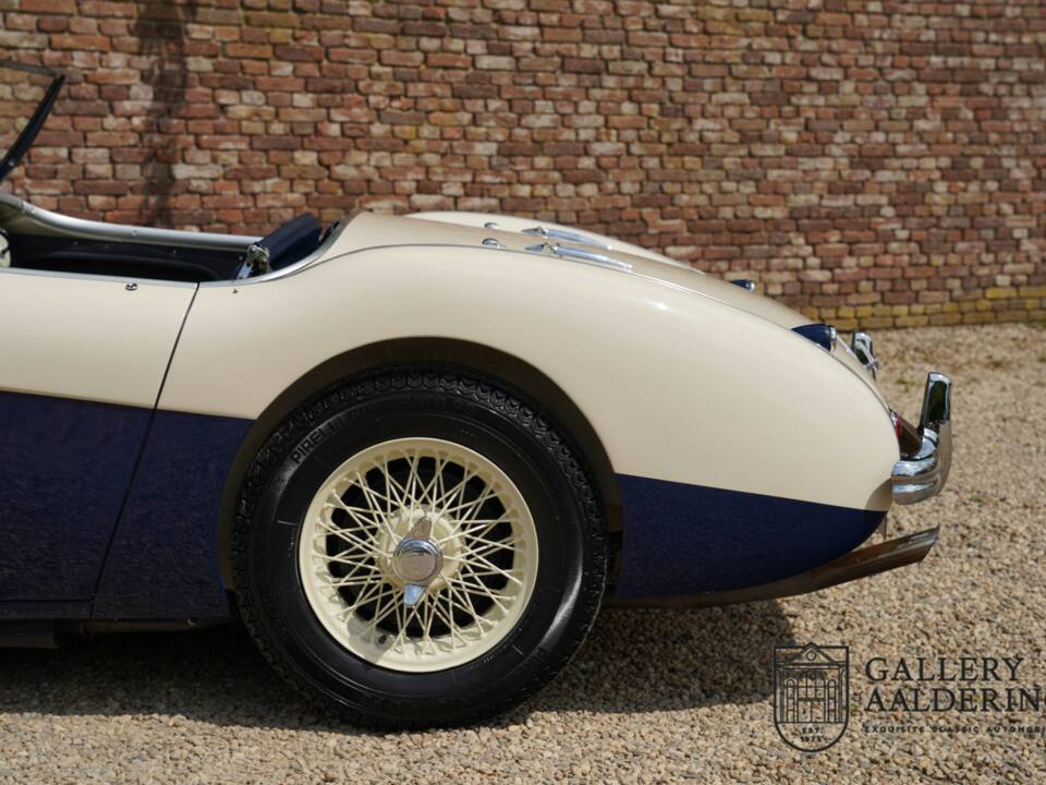 Image 44/50 of Austin-Healey 100/4 (BN1) (1954)
