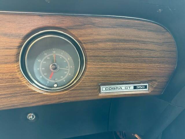 Image 12/31 of Ford Shelby GT 350 (1970)