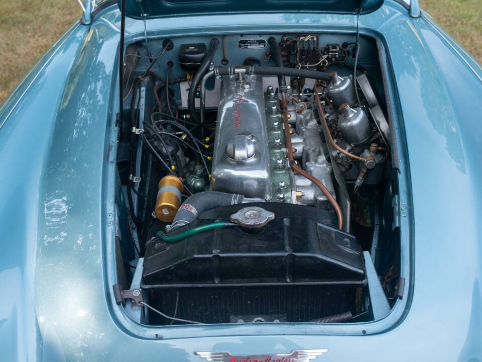 Image 19/38 of Austin-Healey 100/6 (BN4) (1956)