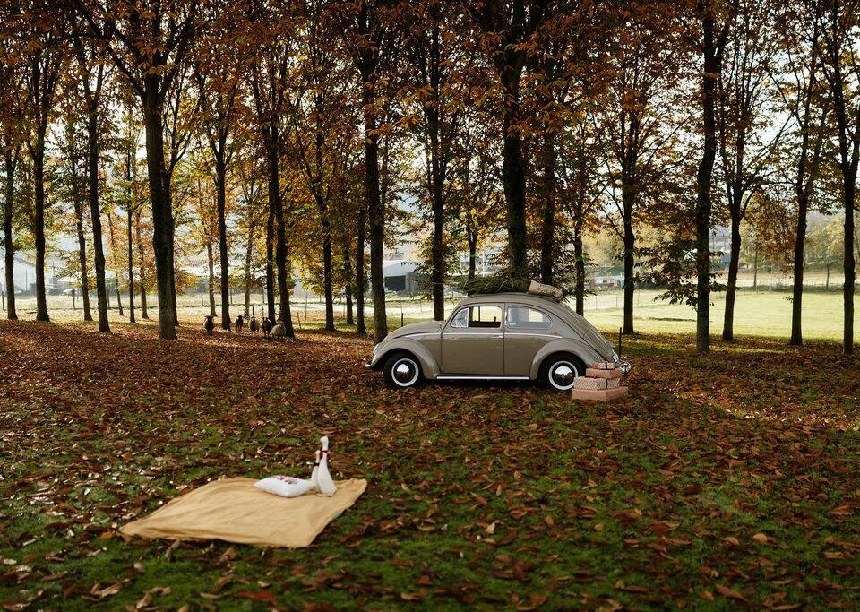 Afbeelding 7/8 van Volkswagen Kever 1200 Standard "Ovaal" (1954)