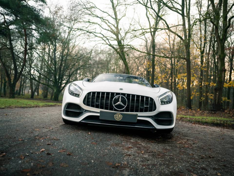 Immagine 31/50 di Mercedes-AMG GT-C &quot;Edition 50&quot; (2017)