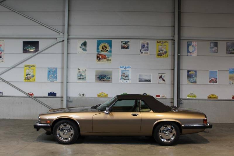 Bild 5/15 von Jaguar XJS 5.3 V12 (1989)