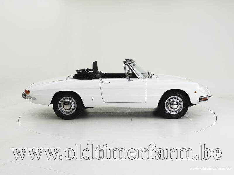 Image 6/15 of Alfa Romeo 1300 Spider Junior (1969)