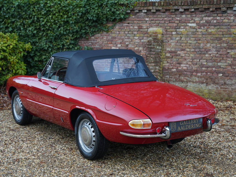 Afbeelding 8/50 van Alfa Romeo 1600 Spider Duetto (1967)