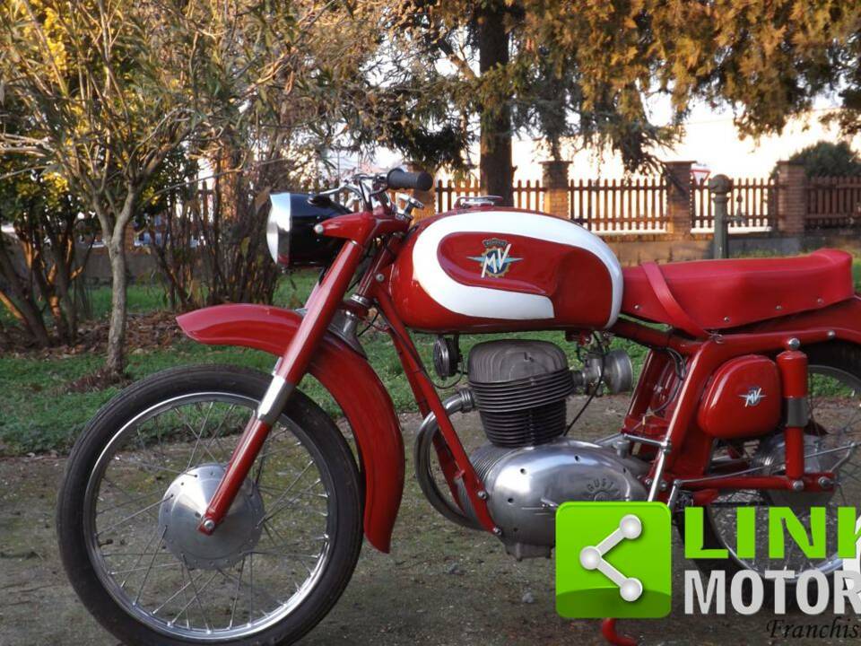 Afbeelding 2/10 van MV Agusta DUMMY (1954)