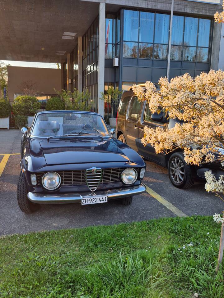 Bild 6/6 von Alfa Romeo Giulia 1600 GTC (1966)