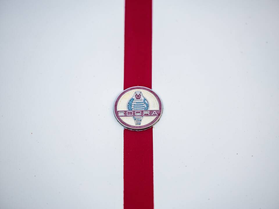 Afbeelding 36/50 van AC Cobra 289 (2000)