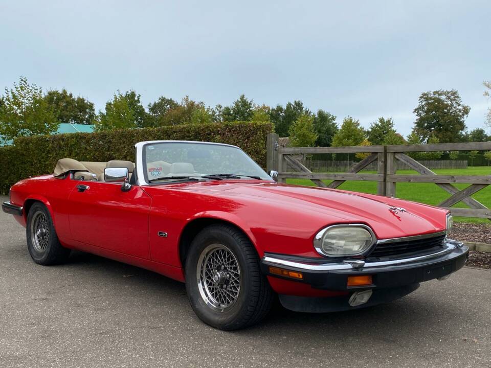 Image 3/30 of Jaguar XJS 5.3 V12 (1992)