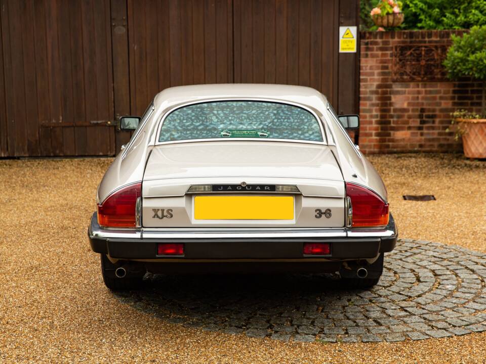 Immagine 7/40 di Jaguar XJ-S 3.6 (1988)