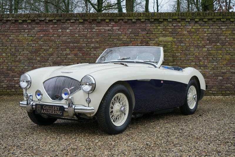 Bild 1/50 von Austin-Healey 100&#x2F;4 (BN1) (1955)