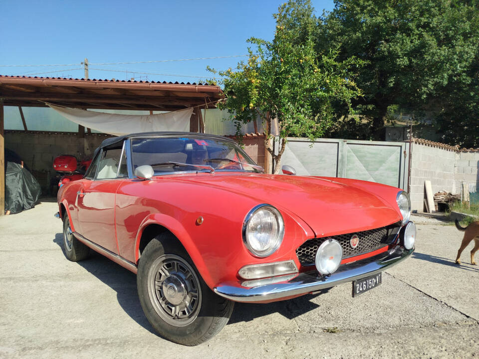 Bild 2/6 von FIAT 124 Spider BS (1971)