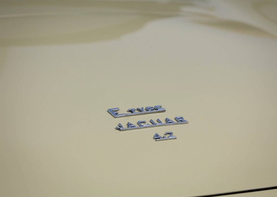 Afbeelding 13/35 van Jaguar E-Type (1967)