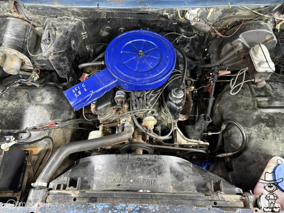 Image 11/42 of Ford F-150 XL (1982)