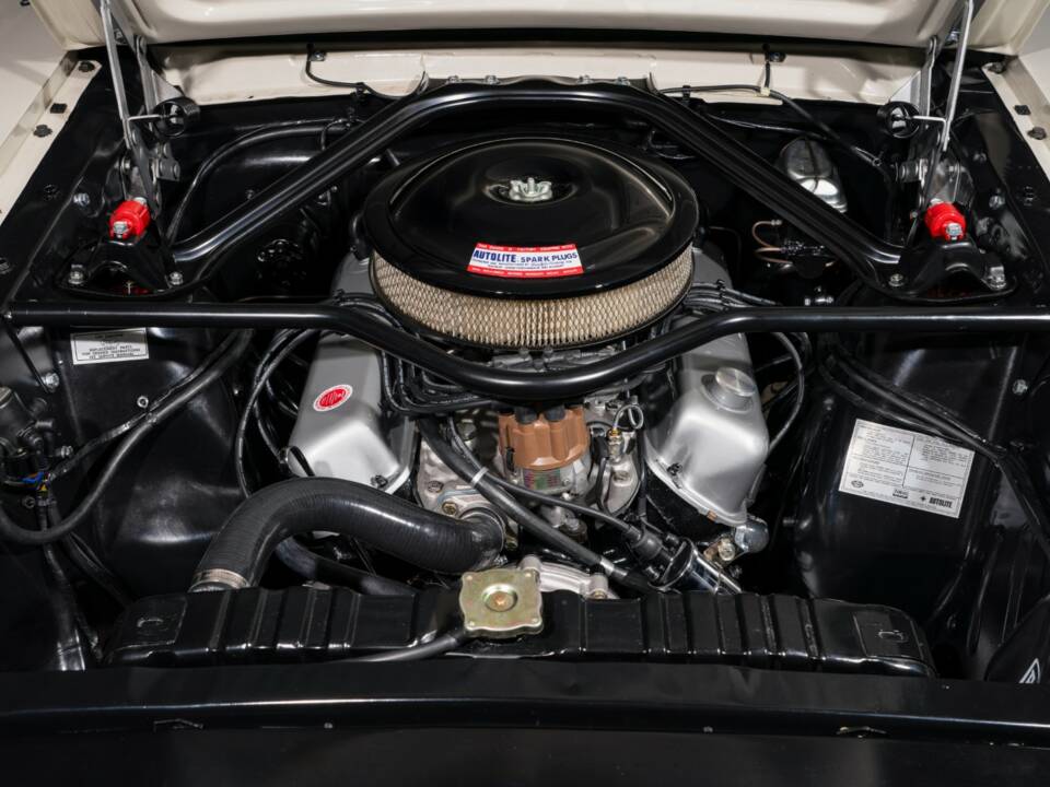 Image 12/22 of Ford Shelby GT 350 (1965)
