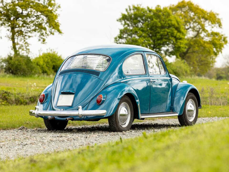 Bild 3/40 von Volkswagen Käfer 1300 (1965)