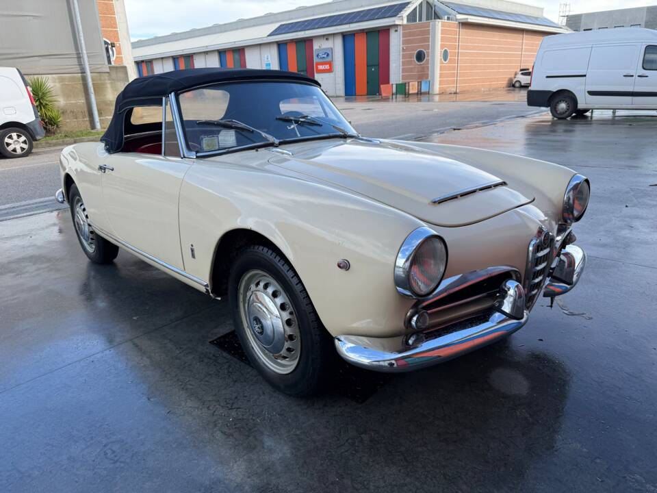 Bild 1/100 von Alfa Romeo Giulia 1600 Spider (1962)