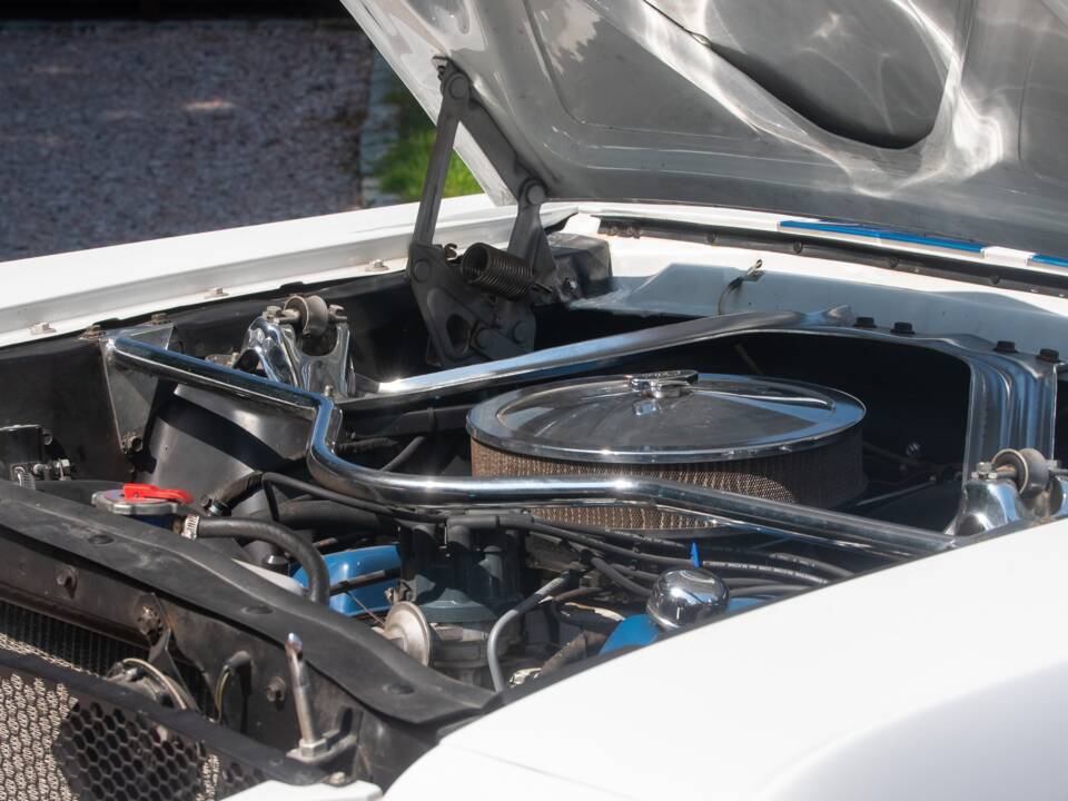 Image 30/54 of Ford Shelby GT 350 (1965)
