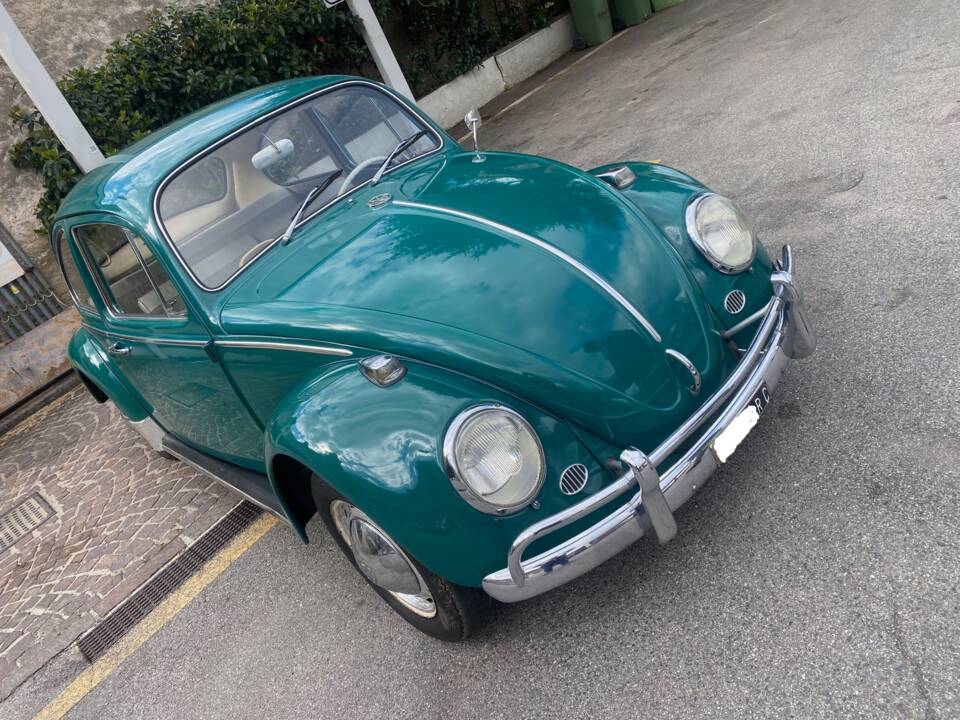 Bild 2/32 von Volkswagen Beetle 1200 (1965)