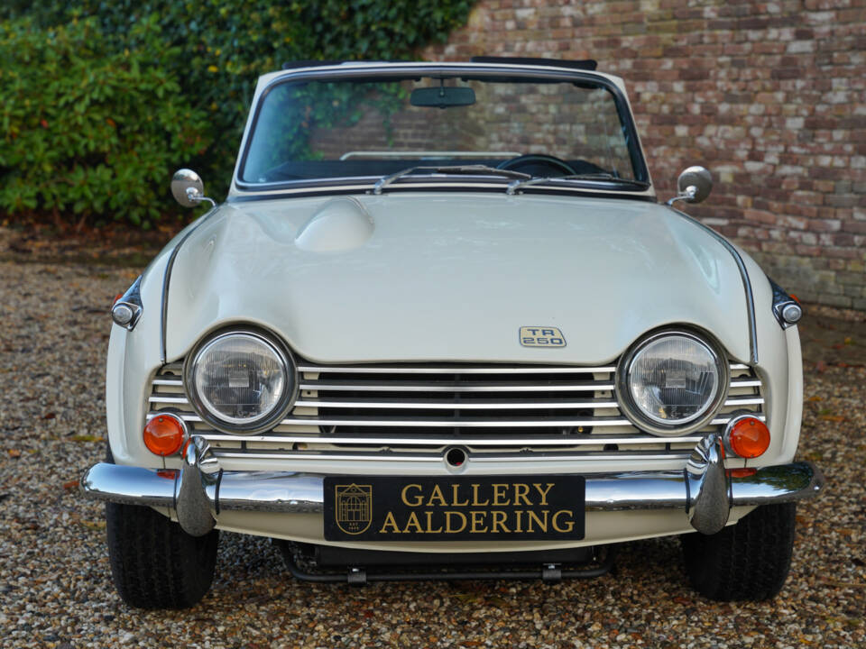 Image 23/50 of Triumph TR 250 (1968)