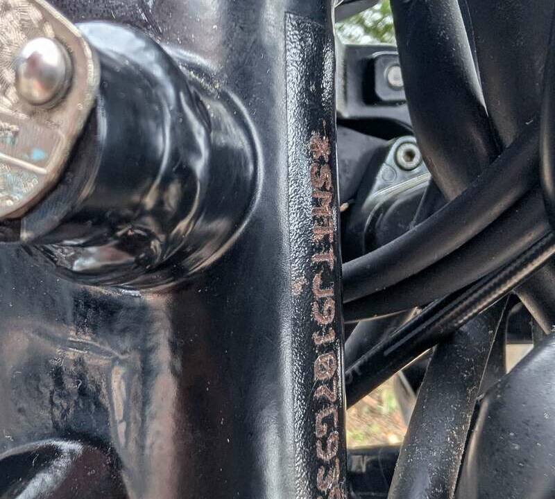 Bild 10/24 von Triumph DUMMY (2009)