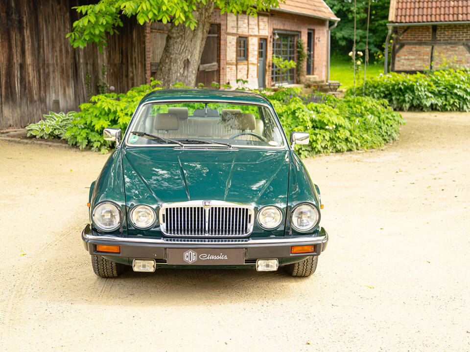 Image 23/100 de Jaguar XJ 12 (1991)