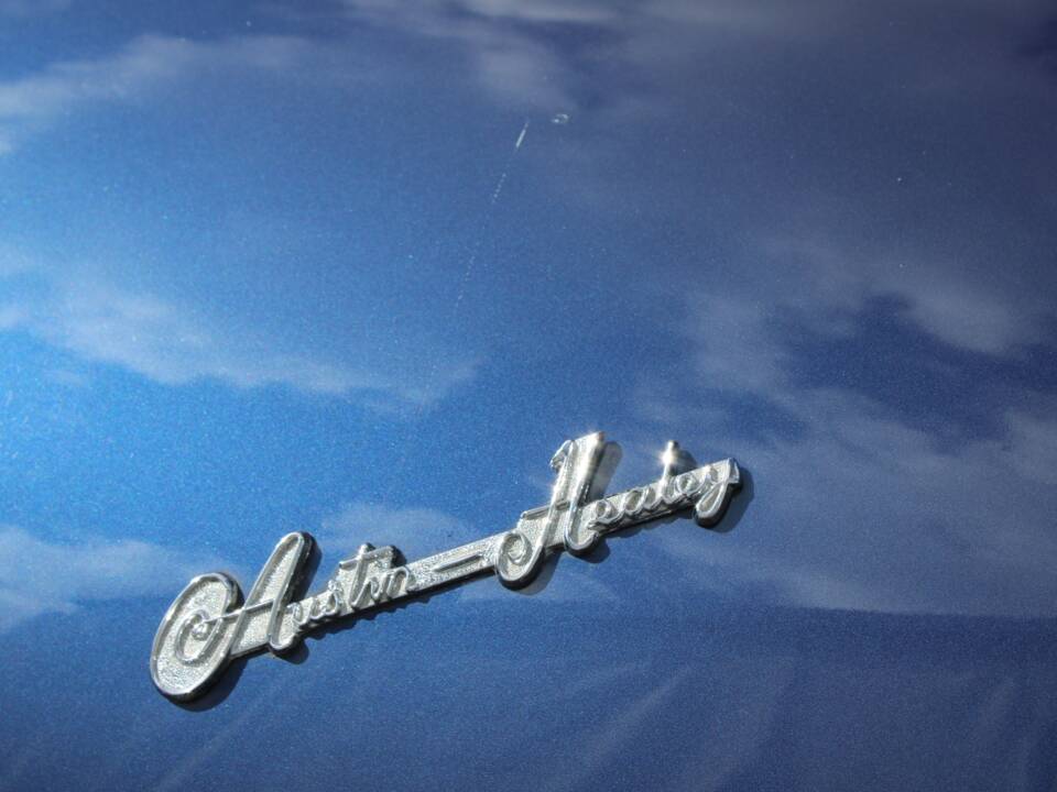 Image 14/50 of Austin-Healey 3000 Mk I (BN7) (1960)