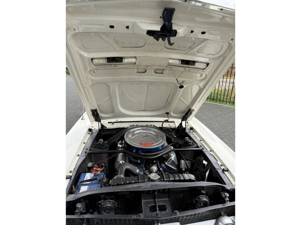 Bild 24/33 von Ford Mustang 390 GTA (1967)