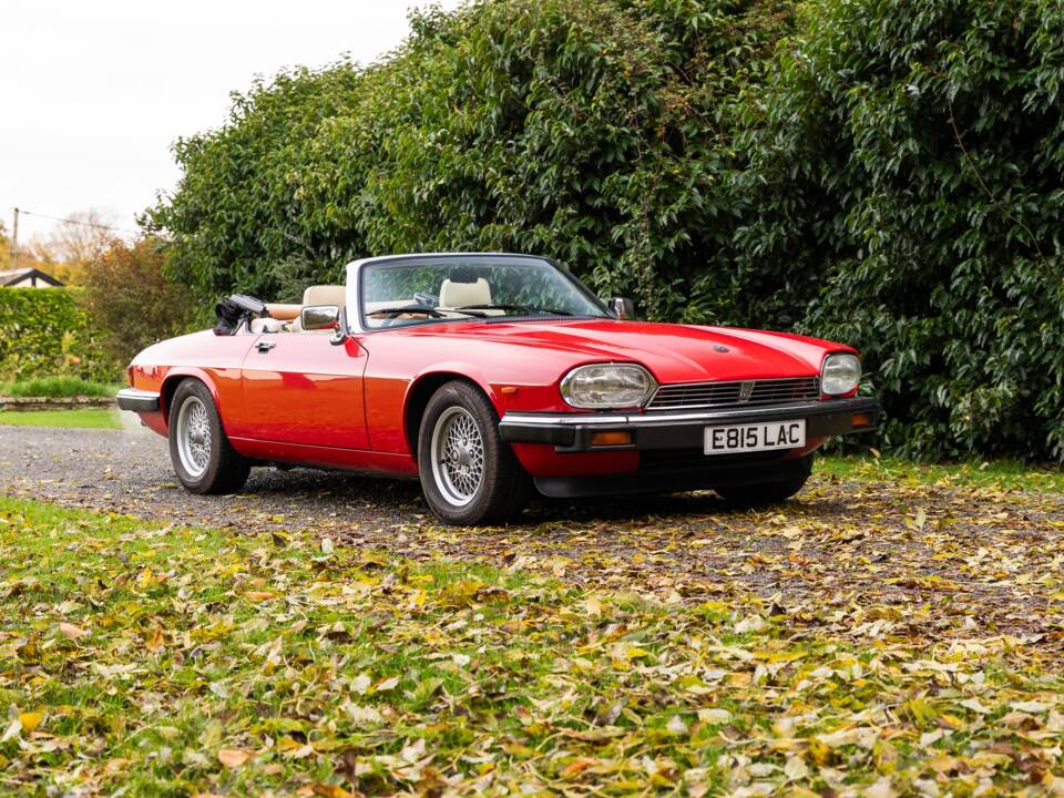 Image 45/50 de Jaguar XJS 5.3 V12 (1988)