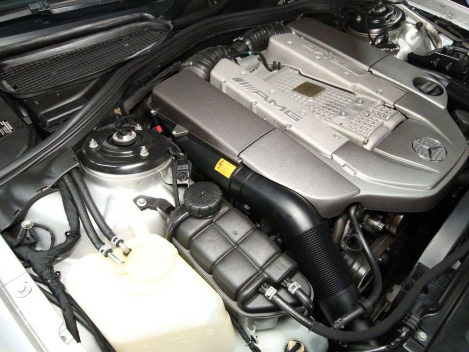 Immagine 28/30 di Mercedes-Benz CL 55 AMG (2002)