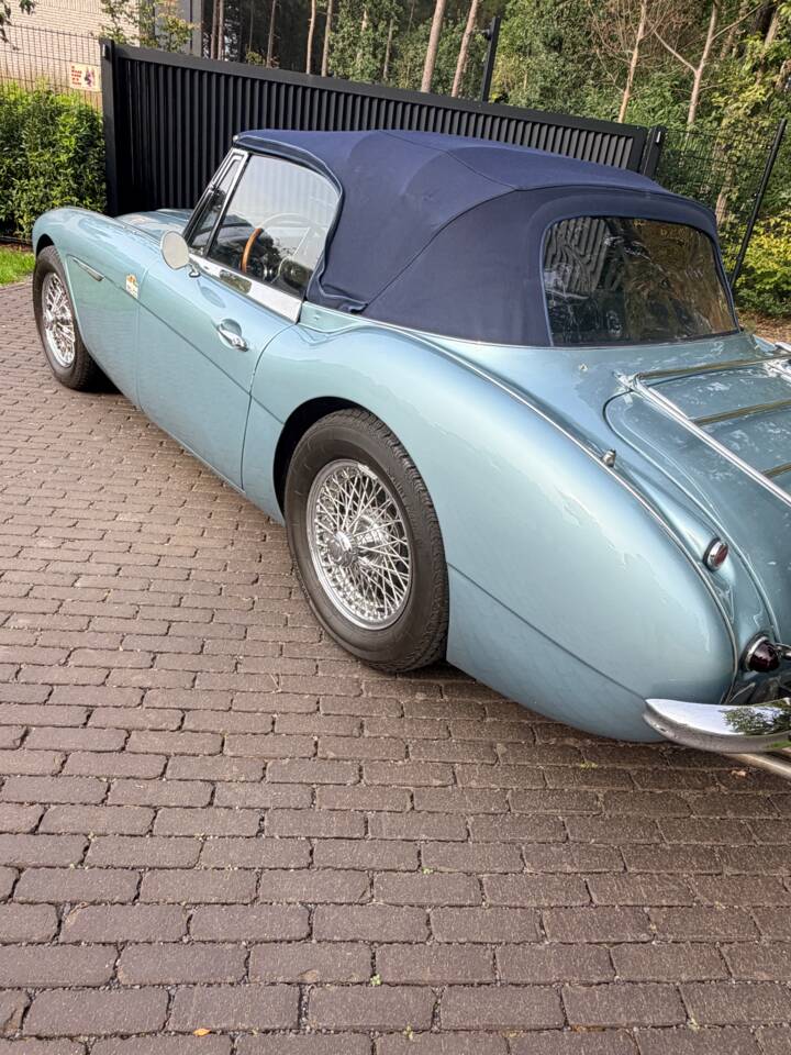 Afbeelding 11/21 van Austin-Healey 3000 Mk II (BJ7) (1963)