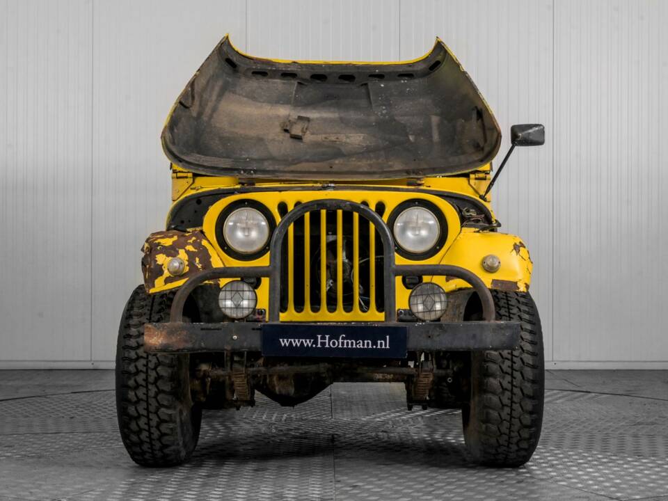 Afbeelding 44/50 van Willys-Viasa CJ-3B (1957)