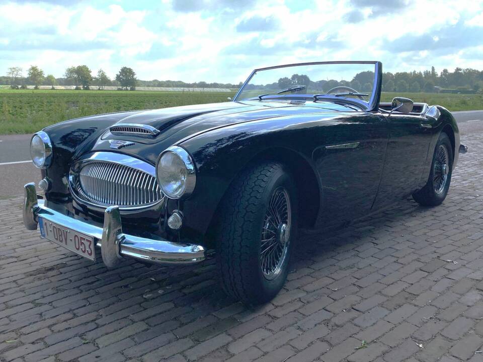 Bild 8/8 von Austin-Healey 3000 Mk II (BN7) (1962)