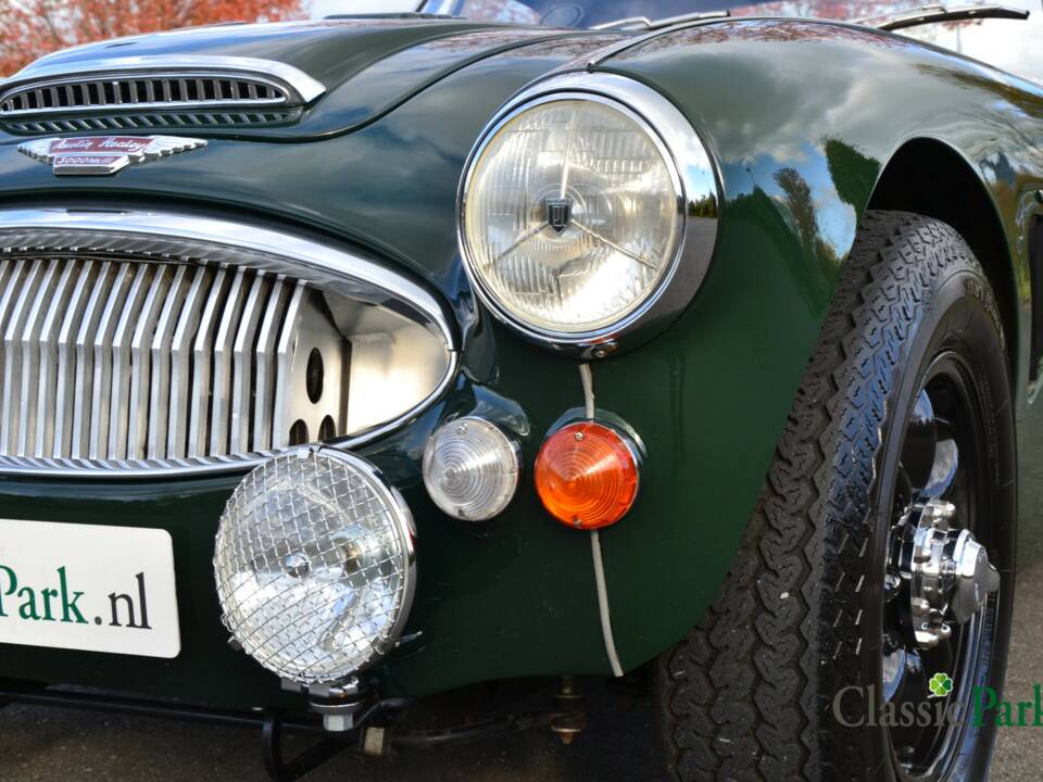 Bild 37/50 von Austin-Healey 3000 Mk III (BJ8) (1967)
