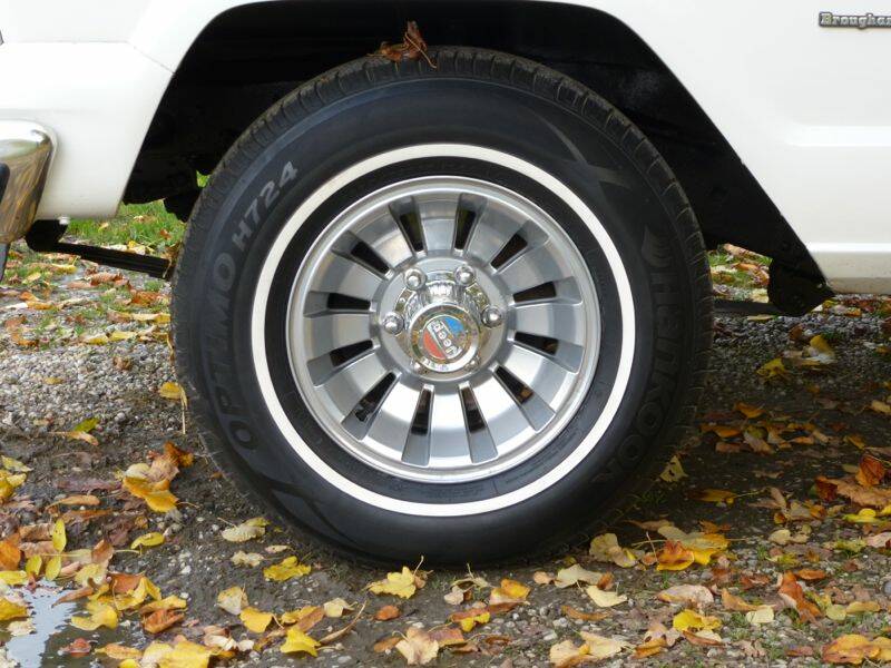 Image 44/50 of Jeep Wagoneer Brougham (1982)