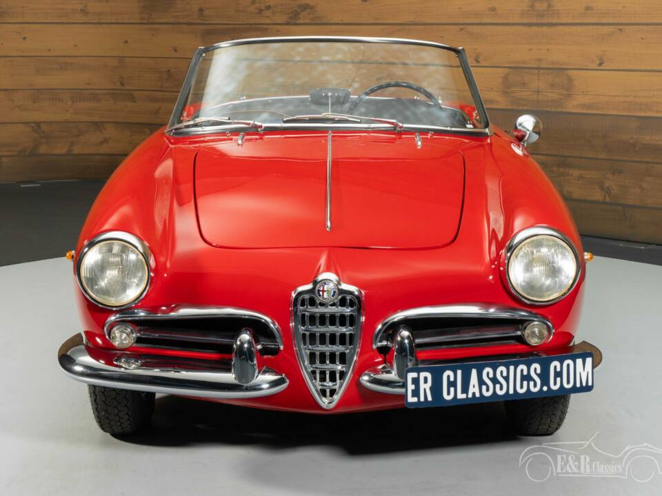 Immagine 4/8 di Alfa Romeo Giulietta Spider (1961)