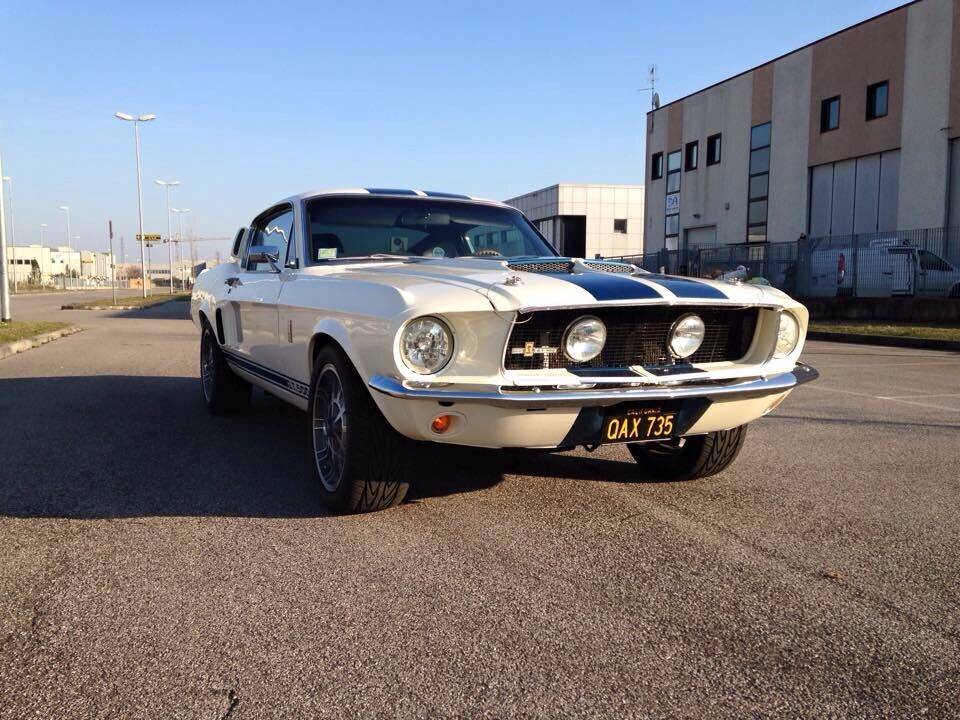 Image 1/53 of Ford Mustang GT 390 (1967)
