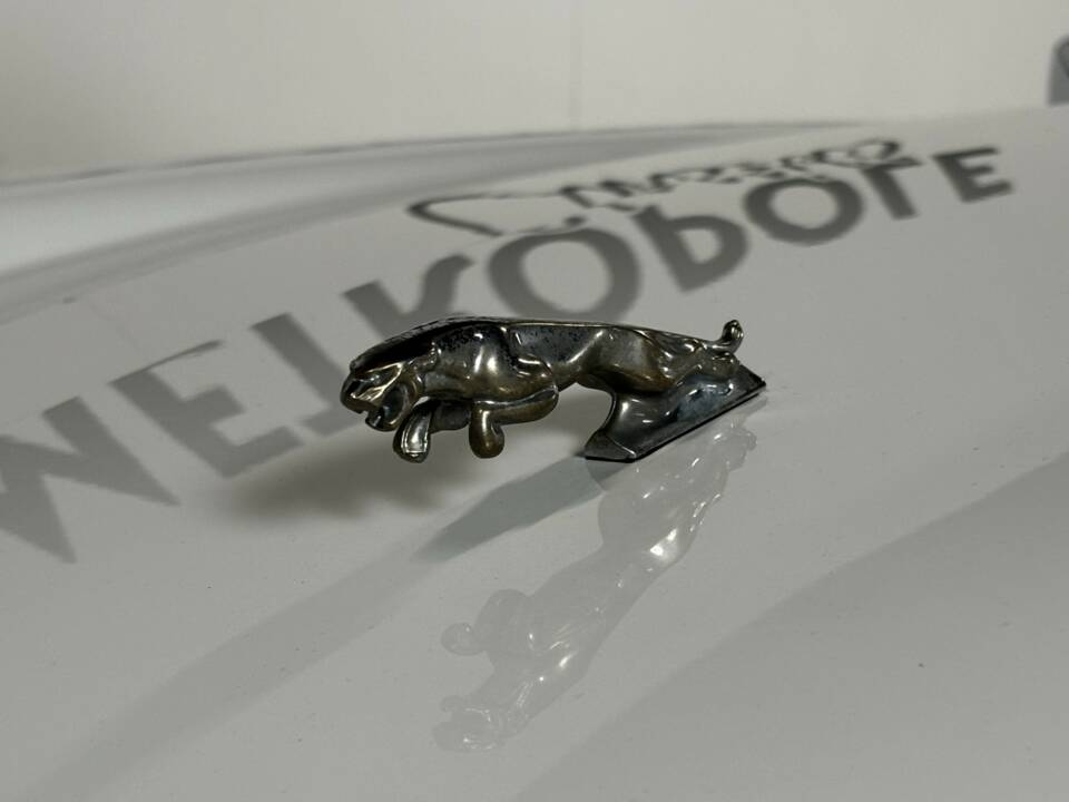 Afbeelding 10/14 van Jaguar XJS 5.3 V12 (1990)