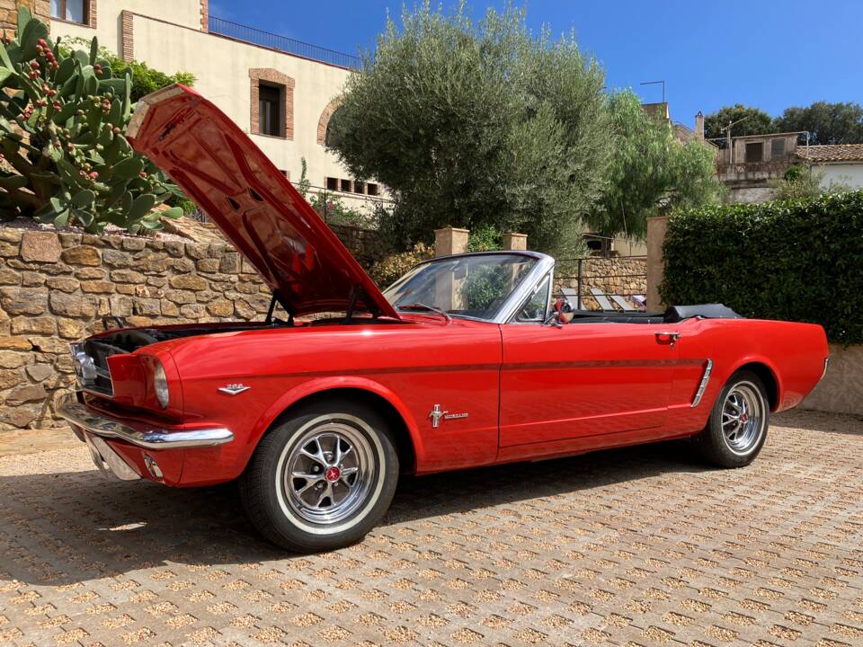 Image 61/109 of Ford Mustang 289 (1965)