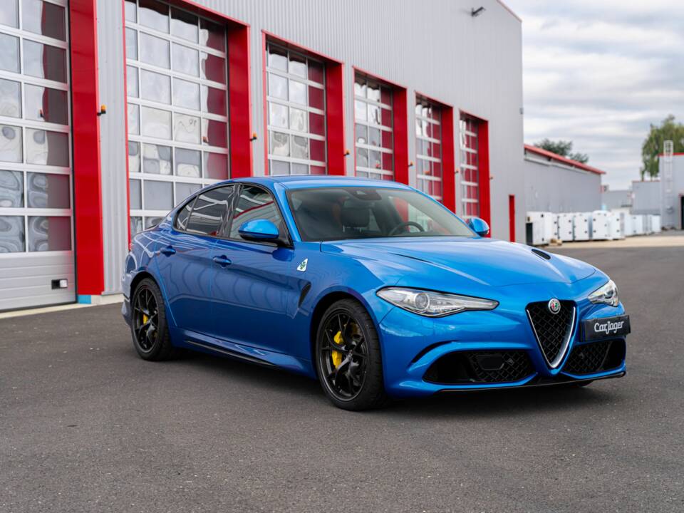 Bild 1/10 von Alfa Romeo Giulia Quadrifoglio (2019)