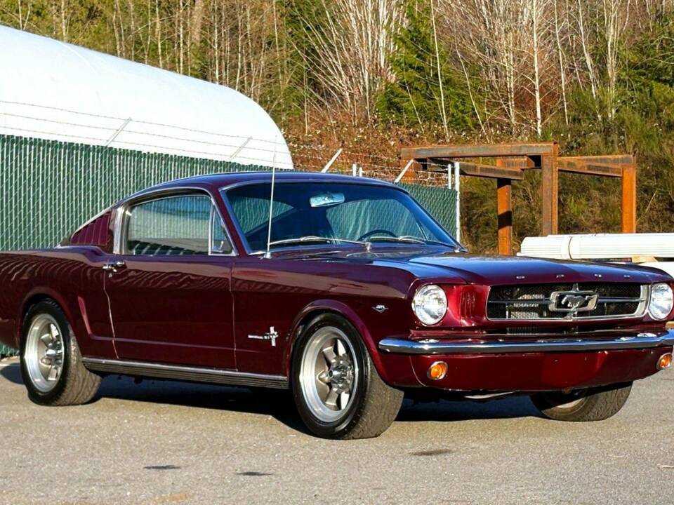 Immagine 15/50 di Ford Mustang 289 (1965)
