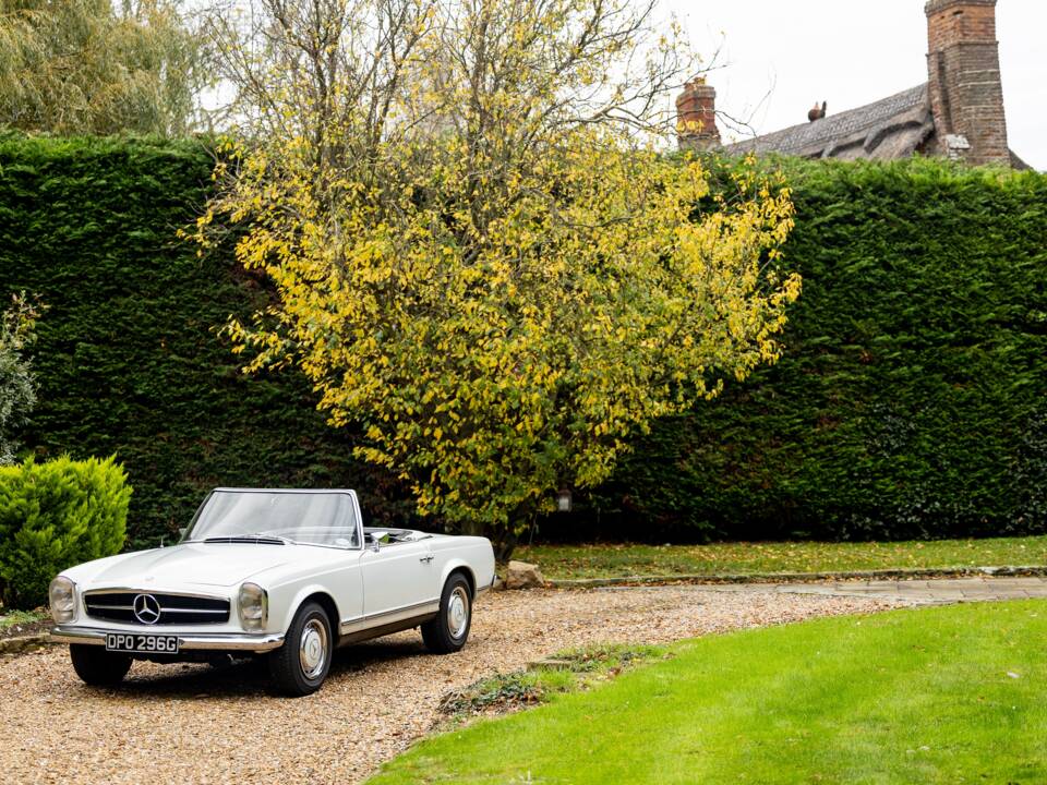 Image 19/50 of Mercedes-Benz 280 SL (1968)
