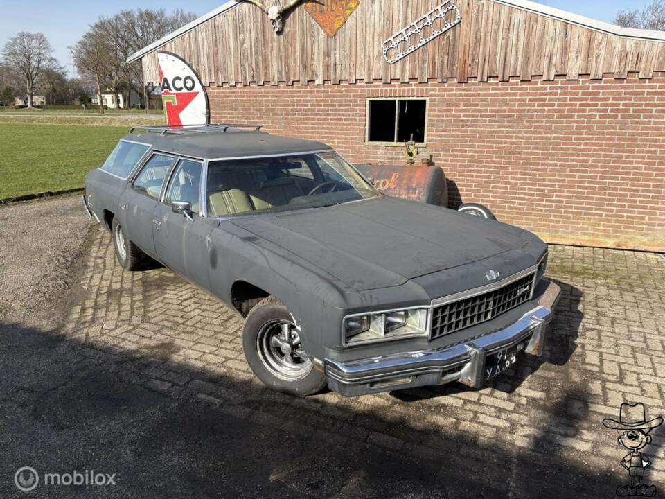 Imagen 22/22 de Chevrolet Caprice Classic (1976)