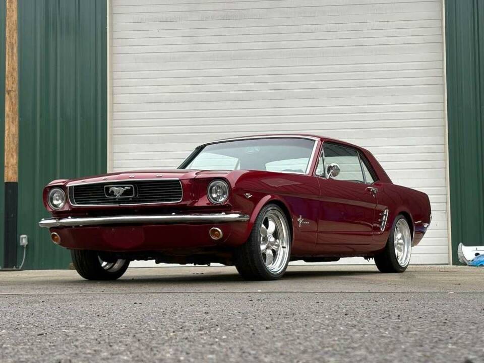 Bild 12/47 von Ford Shelby GT 350 (1966)