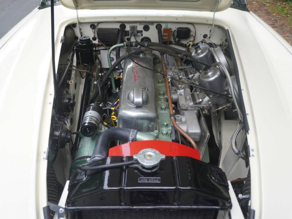 Immagine 18/25 di Austin-Healey 3000 Mk III (BJ8) (1964)