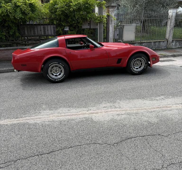 Image 4/8 of Chevrolet Corvette Sting Ray (1980)