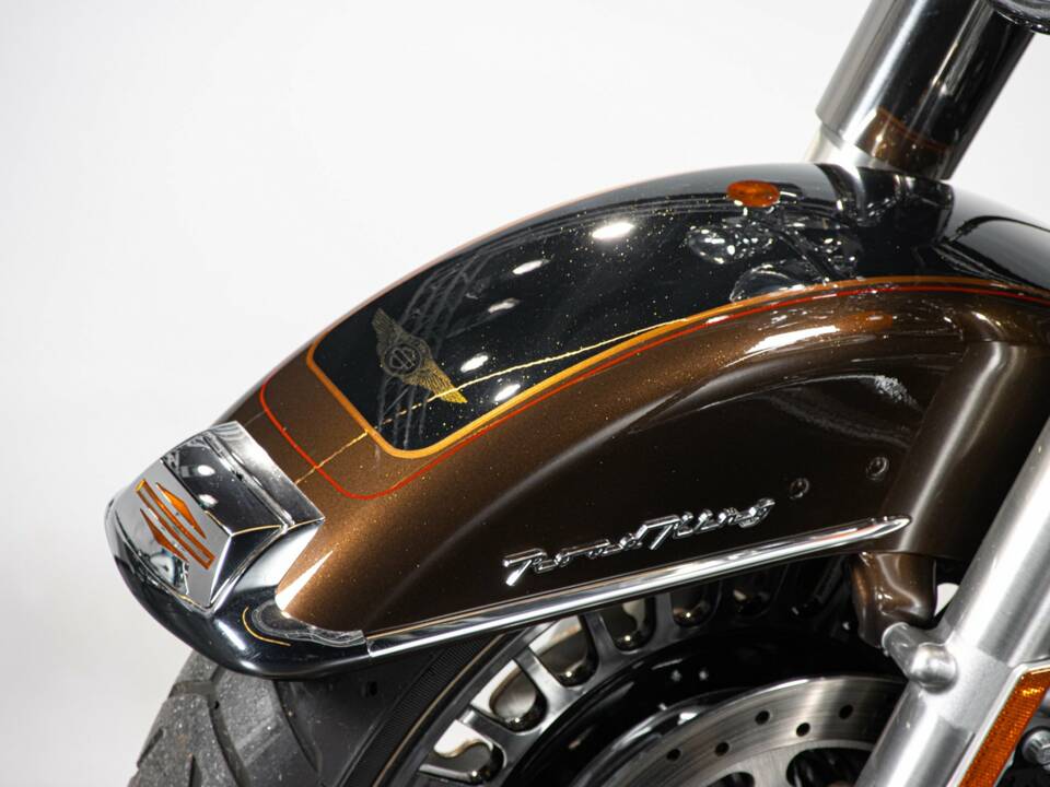 Bild 28/50 von Harley-Davidson DUMMY (2013)