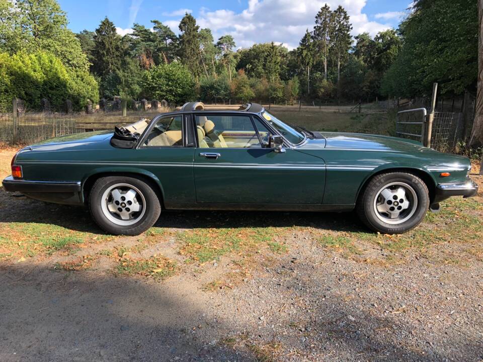 Image 1/5 de Jaguar XJ-SC V12 (1986)