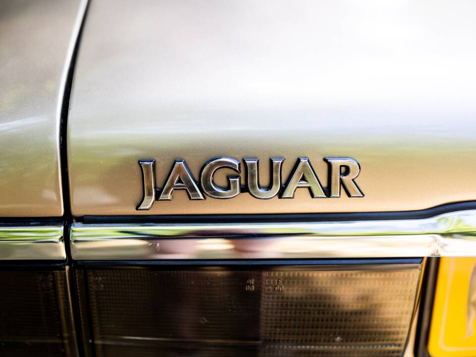 Afbeelding 31/50 van Jaguar XJS 6.0 V12 (1992)