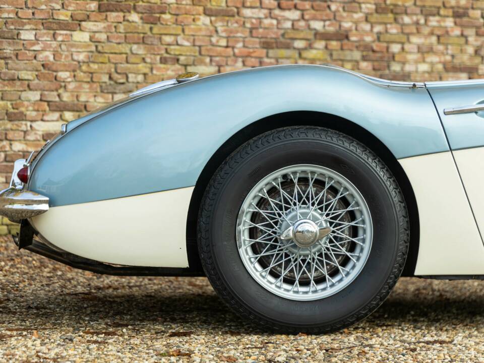 Bild 14/50 von Austin-Healey 3000 Mk I (BN7) (1960)