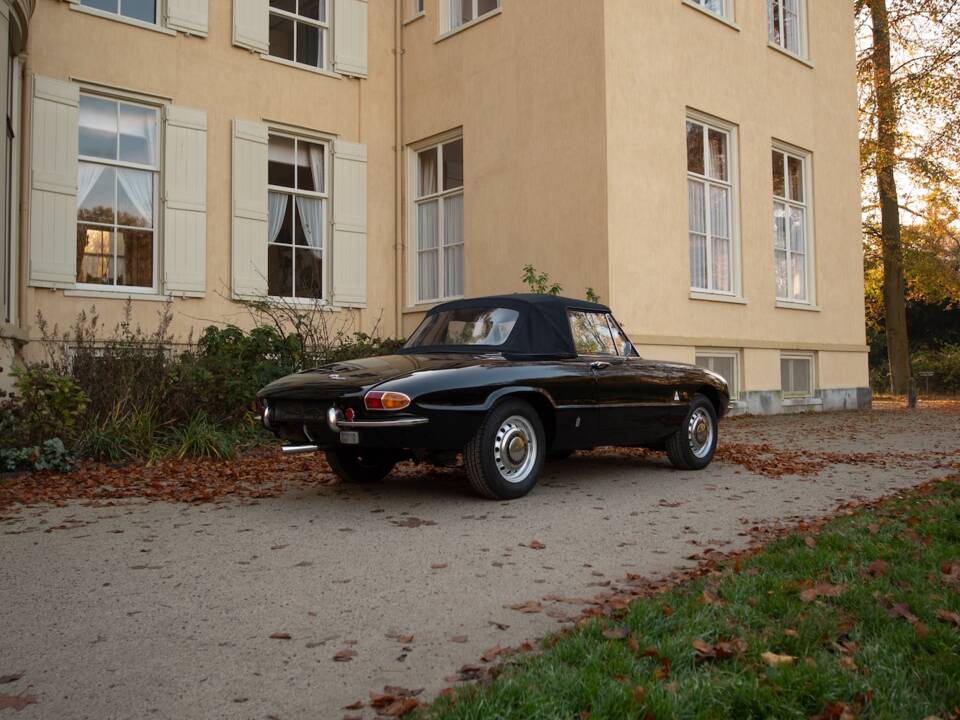 Image 6/51 of Alfa Romeo 1600 Spider Duetto (1966)